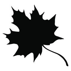 Autumn leaf silhouette  isolated on white background. Vector illustration of foliage in black and white.
