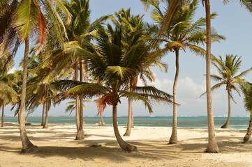 Sailing around the paradise islands and beaches of San Blas (Kuna Yala) in the Caribbean, Panama