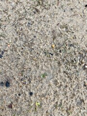 texture of stone