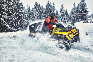 Winter walk on the quad bike in the forest.