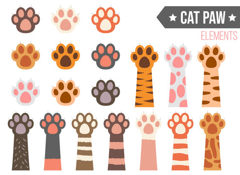 Cat paw vector design illustration isolated on white background