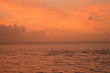 Sailing among the paradise beaches and islands of San Blas / Kuna Yala in the Caribbean Ocean, Panama