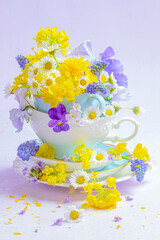 Wild flowers in a teacup