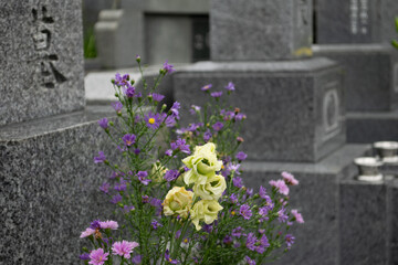 お供えのお花が飾られたお墓