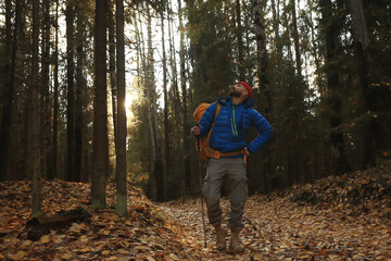 Fototapeta premium follow me on a hike, a man invites you to a forest hike, autumn landscape in the forest in nature