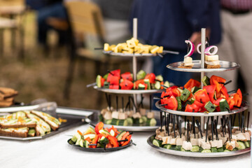 Obraz na płótnie Canvas A set of canapes and snack at a banquet with white table