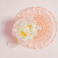White peony on a pink glass plate