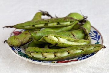 Raw broadbeans on boerenbont plate on white background