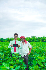 Young agronimist and farmer showing tablet in cotton field