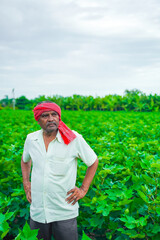 Fototapeta premium indian farmer in cotton field
