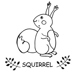 picture coloring with a squirrel and the word squirrel, hand drawn outline isolated on a white background, educational resource, kindergarten and Junior school