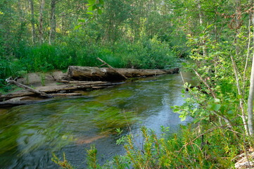 fast-flowing forest river