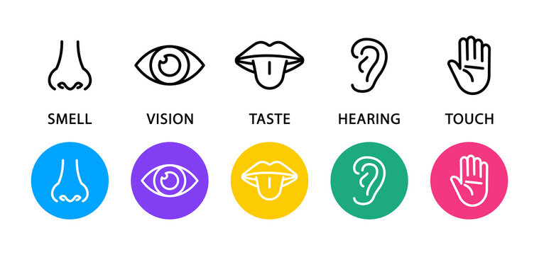 Set of five human senses flat icons. Vision, hearing, taste, smell, touch.