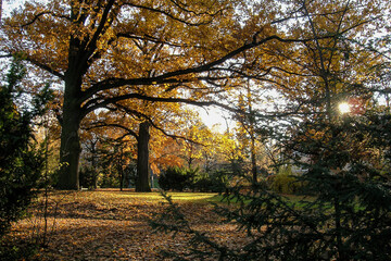 Obraz premium Fichtepark Dresden