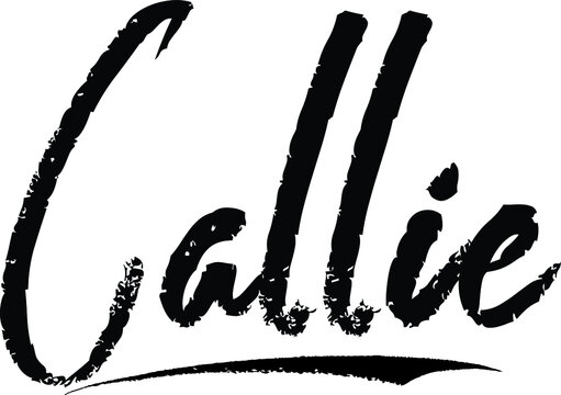  Callie-Female name Modern Brush Calligraphy on White Background