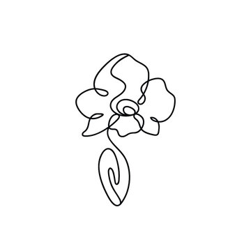 recommend clip art: orchid logo icon. orchid outline.single orchid black and white. Phalaenopsis orchid flower in one line art drawing style. Beautiful orchid line art pattern. Exotic flowers drawing on simple background