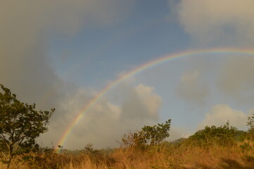 The stunning and lush landscapes of Costa Rica, Central America