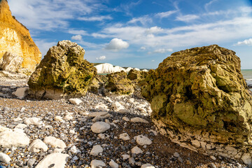 Rocky foreshore below the chalk cliffs