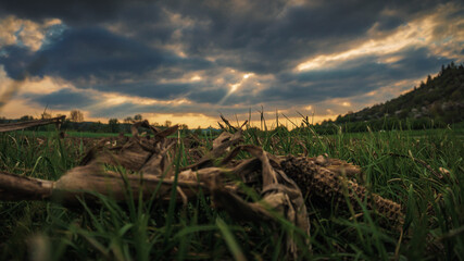 Obraz premium dry fields 