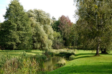 Fototapeta na wymiar A small pond with decorative sticks around it, beautiful willows.