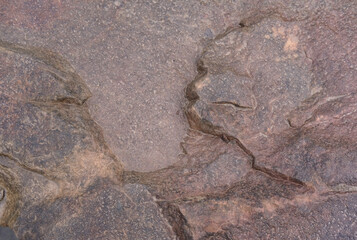 texture of wet stone or rock