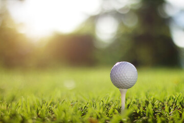golf ball on tee in a beautiful golf course with morning sunshine