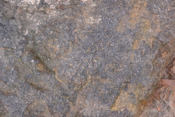texture of wet stone or rock