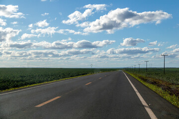 mage of a highway crossing a soy plantation in the Brazilian Midwest.Economic support in agribusiness. Rural working. 