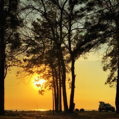 sunset in the forest