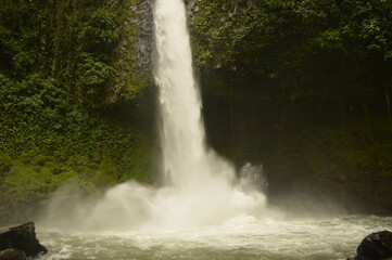 Fototapeta premium The cloud forests and waterfalls outside Arenal in Costa Rica, Central America