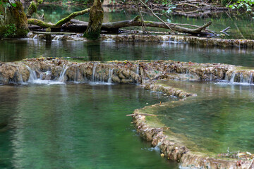 Bassins créés par des barrages naturels de tuf appelés gours, en amont de la cascade des Tufs, une chute d'eau de la Cuisance, dans la commune des Planches-près-Arbois dans le Jura