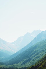 grassy landscape. mountains. forest.