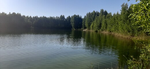 lake in the forest