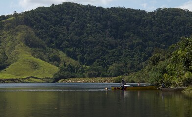 Deintree Forest, Australia nord orientale.