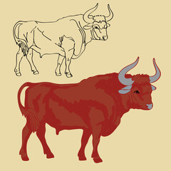 illustration based on the red bull vector drawing