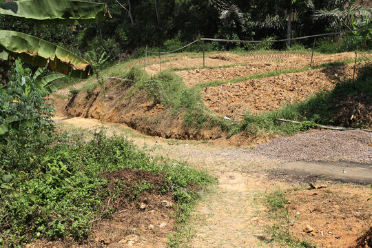 Village roads are still in the form of dirt and stones. View of fields in the Sukawangi area, Bogor, Indonesia