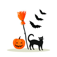 Halloween concept. Pumpkin and black cat, broom isolated on white background. Vectot flat design