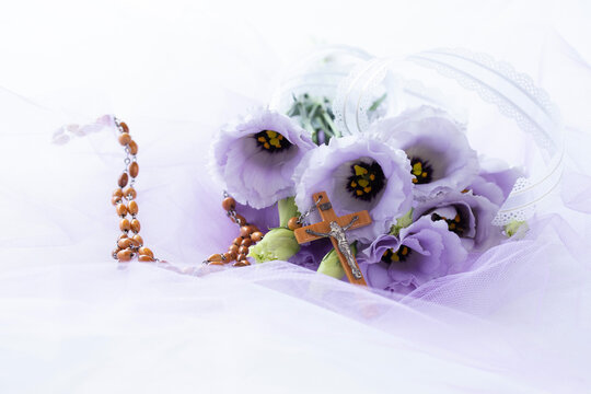 チュール Photos Royalty Free Images Graphics Vectors Videos Adobe Stock チュール Photos Royalty Free Images Graphics Vectors Videos Adobe Stock