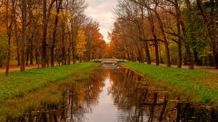 Golden autumn in Alexander park, Tsarskoe Selo Pushkin Saint Petersburg, Russia