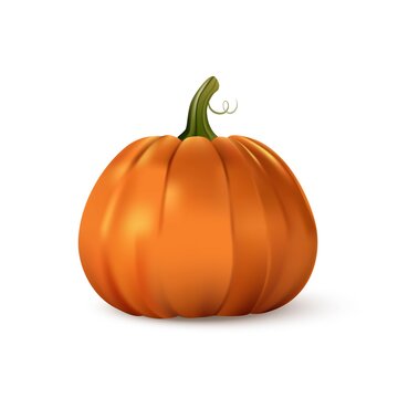 Halloween orange pumpkin. Isolated traditional realistic food. October holiday decoration vector illustration. Autumn spooky decor for fun and celebration. Nature harvest