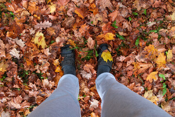 Feet in the autumn leaves covering entire image. Very colrful leaves.