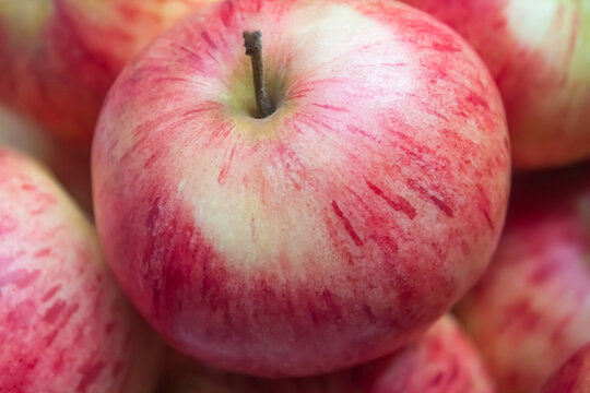 Ripe Red Apples Close Up