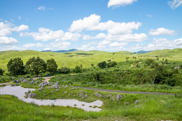 The landscape of Akiyoshi plateau in Akiyoshidai Kokutei Koen (Akiyoshidai Quasi-National Park) in Yamaguchi Prefecture, Japan.