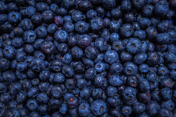 blueberries 