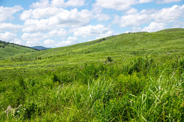 Fototapeta na wymiar The landscape of Akiyoshi plateau in Akiyoshidai Kokutei Koen (Akiyoshidai Quasi-National Park) in Yamaguchi Prefecture, Japan.