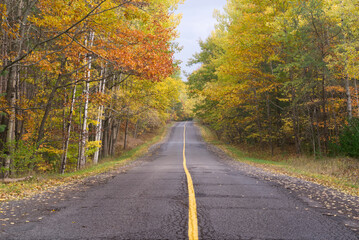 Obraz premium A road thru a colorful fall forest