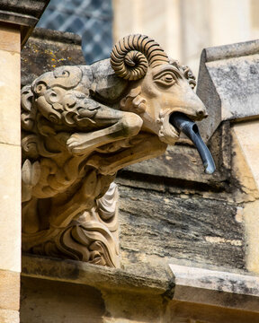 Gargoyle at Gloucester Cathedral in the UK