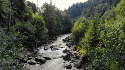 The river flows past the trees. Mountain river with protruding stones surrounded by trees.
