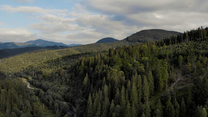 Aerial view of mountains and spruce forest. Blue little cloudy sky summer sunny day.