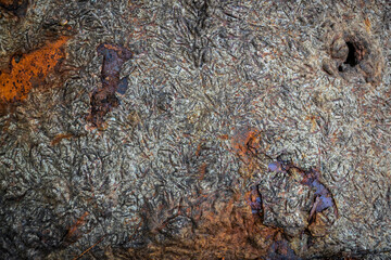 Rusty metal corrosion background. Textured grunge background